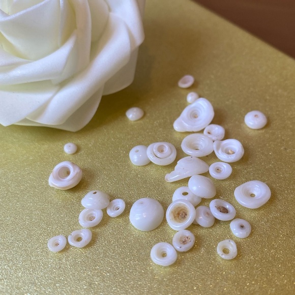 🐚🐚 Puka Shells from Maui. *authentic - Picture 4 of 4